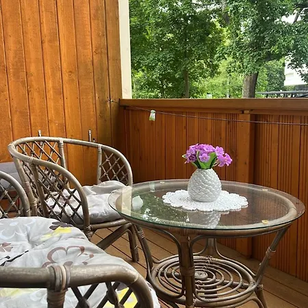 アパート Centre Daukanto パランガ