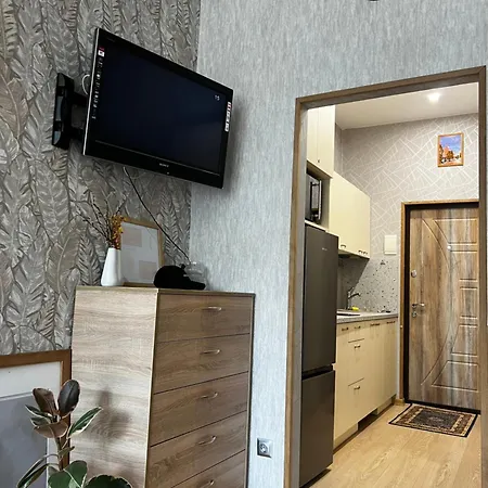 Centre Daukanto アパート *