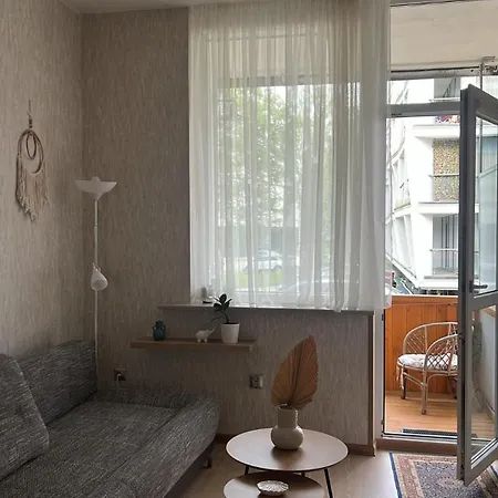 Centre Daukanto アパート パランガ