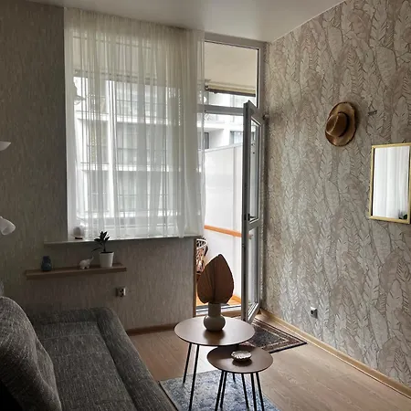 アパート Centre Daukanto