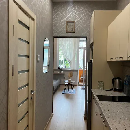 アパート Centre Daukanto