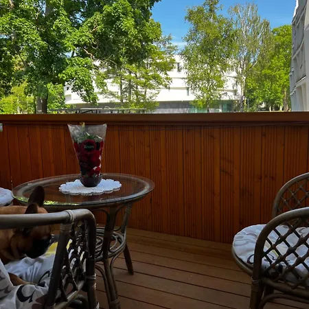 Centre Daukanto * パランガ