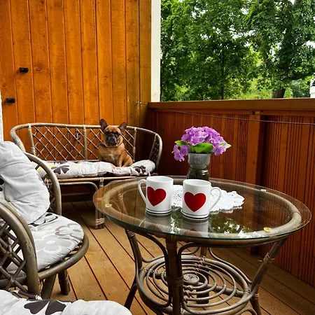 Centre Daukanto アパート *