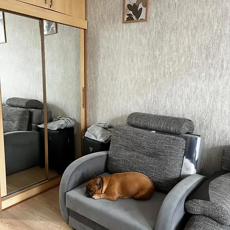 Centre Daukanto アパート