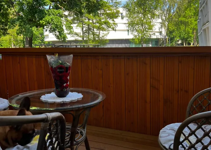 Centre Daukanto * Palanga