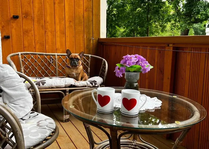 Centre Daukanto Apartment *